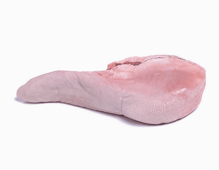 

Говядина язык с/м, Frigomerc